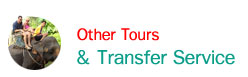 Other Tours & Transfer Service